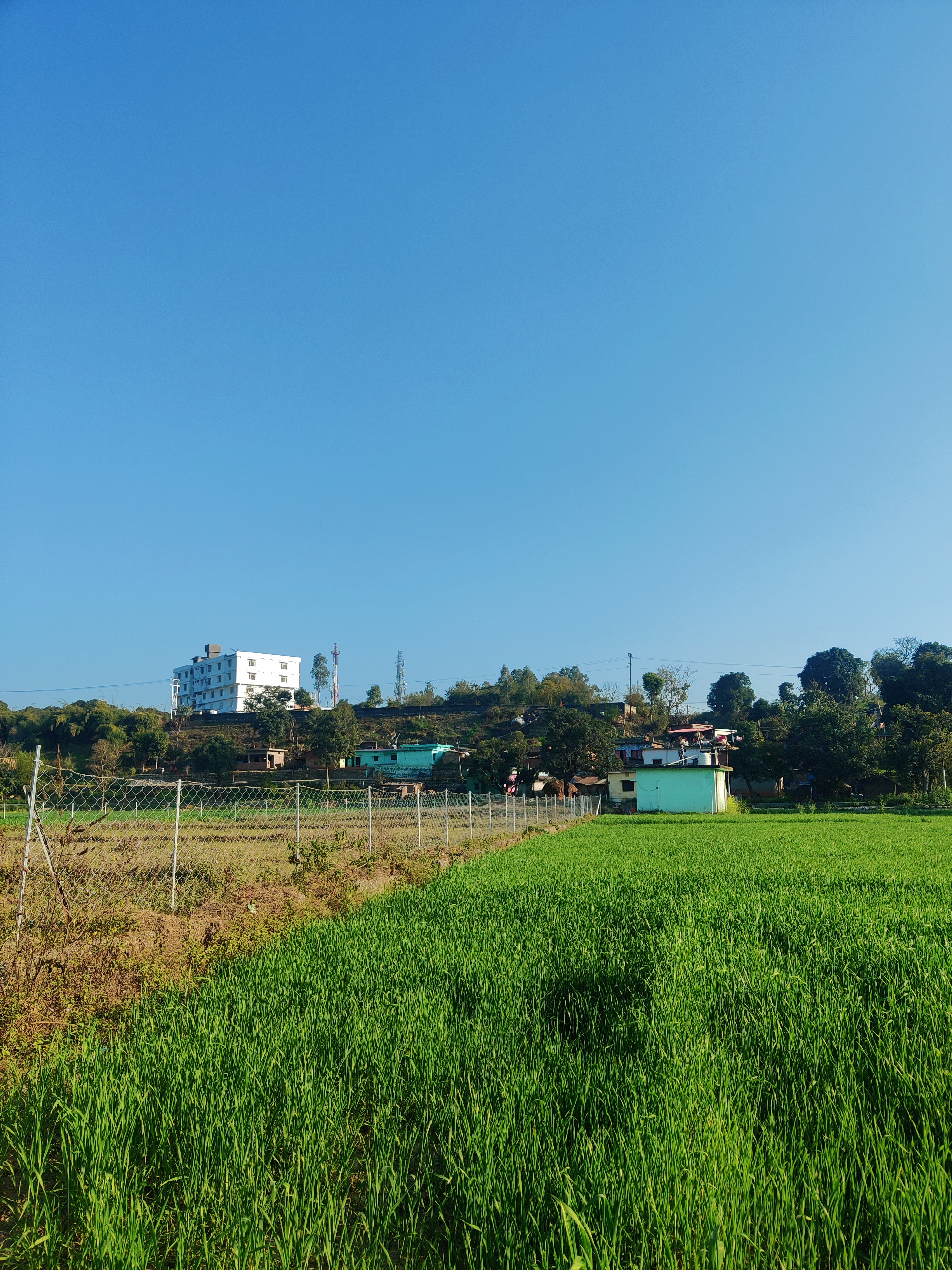 Approach road and scenic views leading to Mahasu Farms